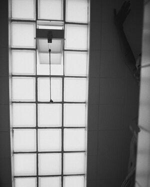 Venosere photo 29
