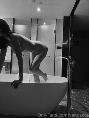 Venosere photo 53