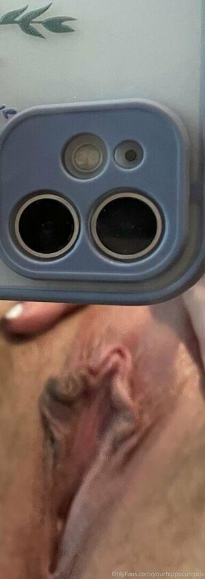 yourhippocumpus photo 2